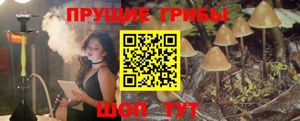 Псилоцибиновые грибы мицелий  Вход с VPN  Кувандык 