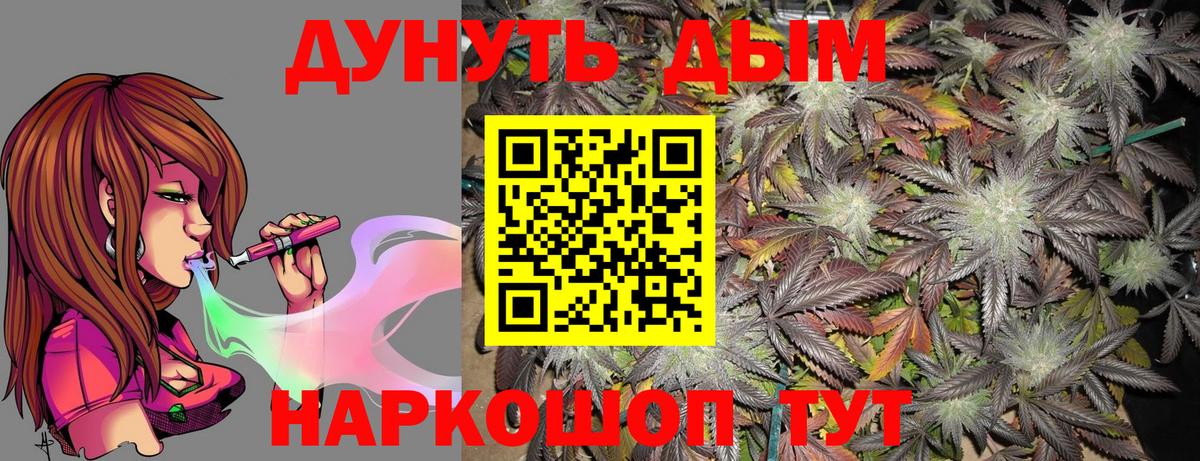 Кувандык  Канабис гибрид  Вход с VPN  Бошки Шишки ГИДРОПОН  Каннабис Amnesia 